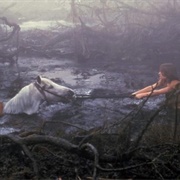 Artax - The Neverending Story