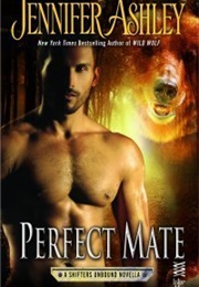 Perfect Mate (Jennifer Ashley)