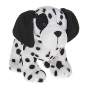 Salt Pepper Dalmatian