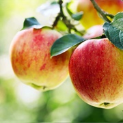 Apples