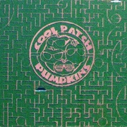 Cool Patch Pumpkins Corn Maze