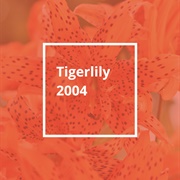 Pantone Color of the Year 2004: Tigerlily
