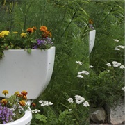 Make a Toilet Planter