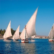 Felucca Sailing