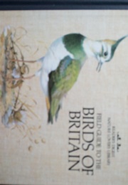 Field Guide to the Birds of Britain (Reader's Digest)