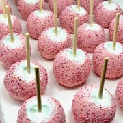 Dipped by Dee Circus Animal Apple