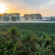 Hondenlosloopzone, Onkerzele