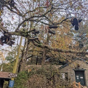 The Appalachian Trail Shoe Tree
