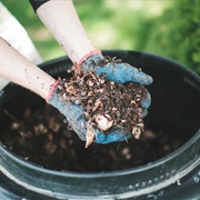 Composting: Nature&#39;s Most Interesting Process
