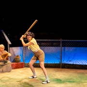 Under  a Baseball Sky