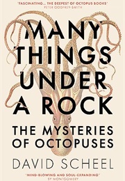 Many Things Under a Rock: The Mysteries of Octopuses (David Scheel)