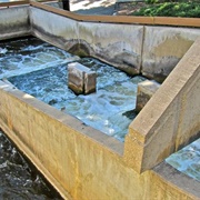 Fish Ladder Park