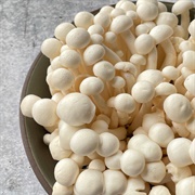 Hon-Shimeji (Lyophyllum Shimeji)