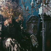 Black Veil Shoppe of Drear & Wonder