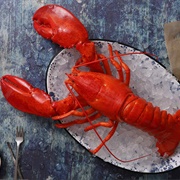 Fresh Lobster in Maine