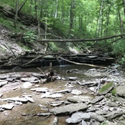 Halls Creek Woods State Nature Preserve