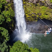 Ziplining Hawaii