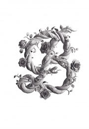 Beauty (Stefan Sagmeister and Jessica Walsh)