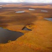 Bering Land Bridge National Preserve