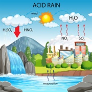Whatever Happened to Acid Rain?