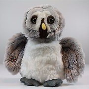 Gray Owl