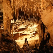 Mammoth Cave National Park