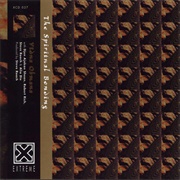 Vidna Obmana - The Spiritual Bonding