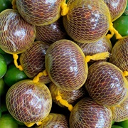 Borojó (Alibertia Patinoi)