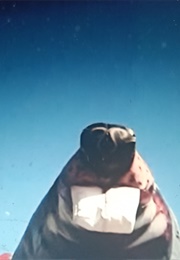 Argumenta (Short) (2011)