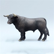 Toy Bull