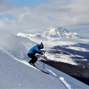 Cerro Castor, Tierra Del Fuego, Patagonia, Argentina