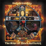 Badly Drawn Boy - The Hour of Bewilderbeast (2000)