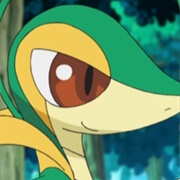 Ash's Snivy