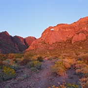 Arch Canyon Trail