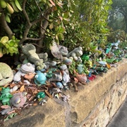 'Wall of Frogs'