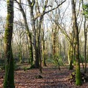 West Creek Reservation