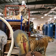 National Wildlife Property Repository