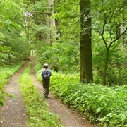 Potsdamer Wald- Und Havelseengebiet