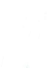 Milo Muse the Rabbit (1978)