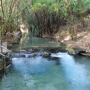 Katherine Hot Springs, Katherine, NT
