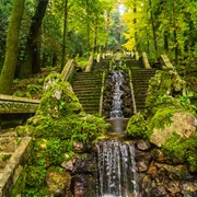 Bucaco Forest, Portugal