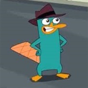 Pompy Jonowe – Rola Na/K-Atpazy