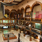 Bishop Museum