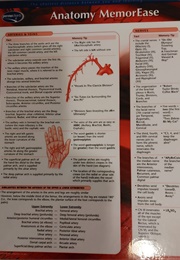 Anatomhy Memorease (Permacharts)