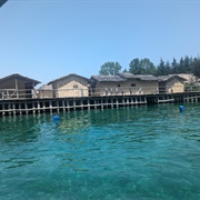 Bay of Bones Lake Ohrid