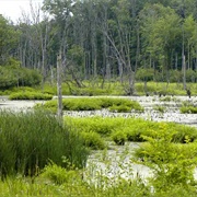 Aurora Sanctuary State Nature Preserve