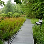 Kent (Cooperrider) Bog State Nature Preserve