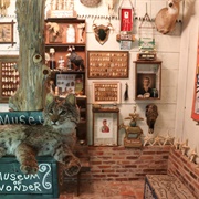 The Museum of Wonder