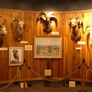 Stauth Memorial Museum