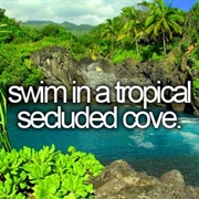 Swim in a Tropical Secluded Cove